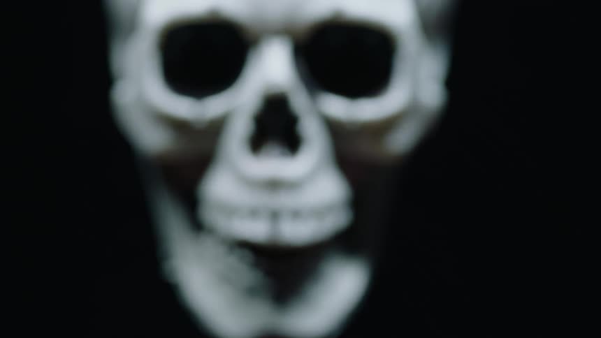 A skull is sitting in the darkness