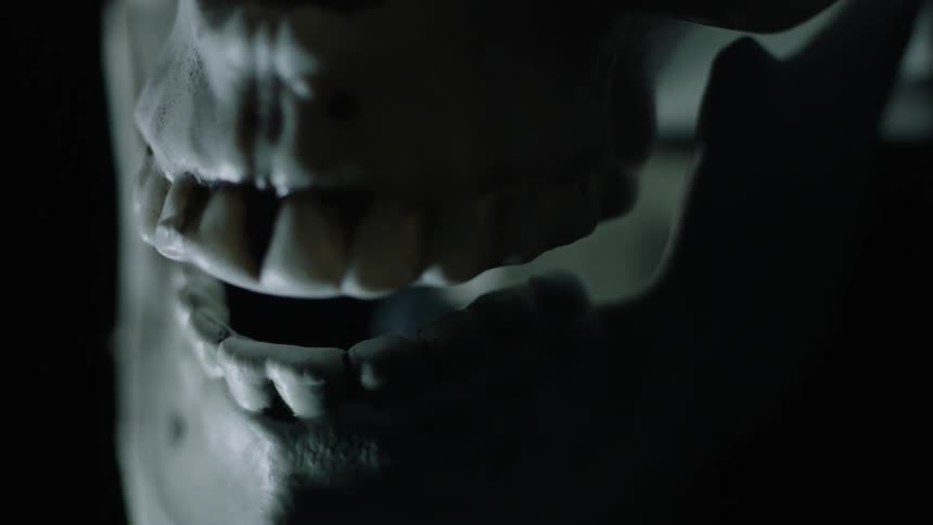 A human skull is backlit with a white light