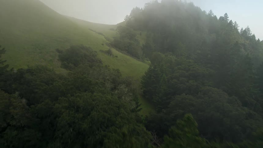 A drone is flying over a foggy forest