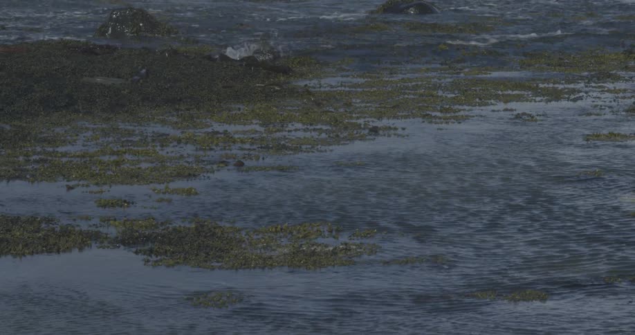 The tide is low on the beach