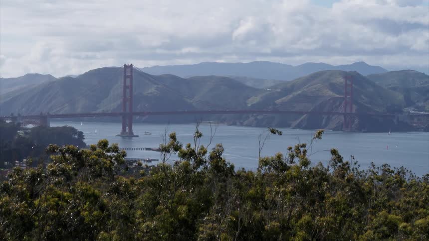 The golden gate bridge appears behind trees