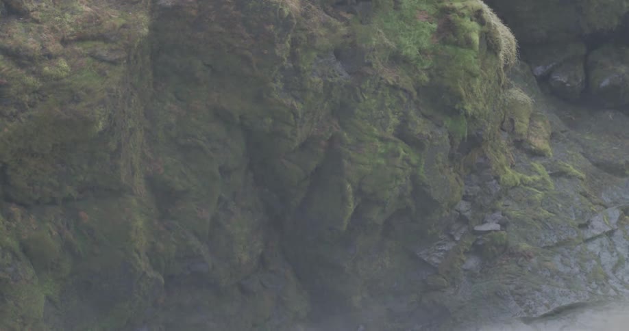 Mist is drifting over a rocky crevice during the day