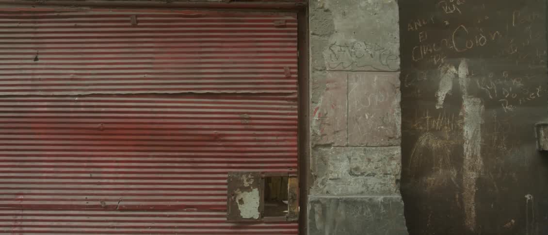 Birds are milling about inside a building with a roll up door