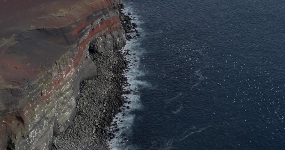 Birds fly over a rocky coast