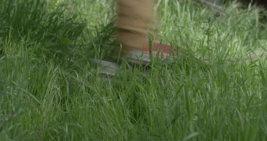 A person skis through grass on a sunny day