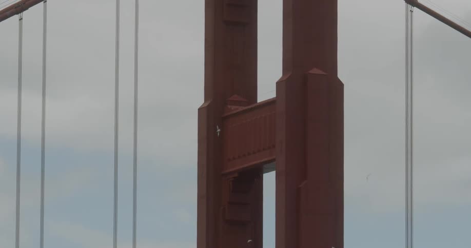 Birds fly near a large city bridge