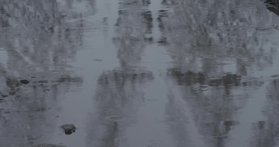 Rain falls and ripples on a puddle