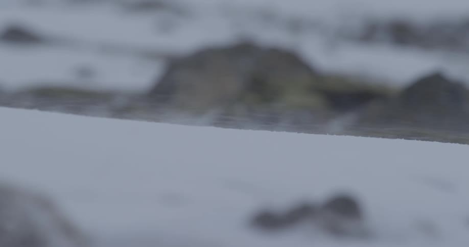 Snow is blowing across a frozen landscape