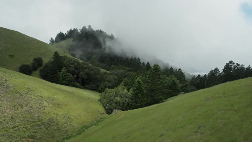 Fog is drifting over trees in a valley between hills during the day