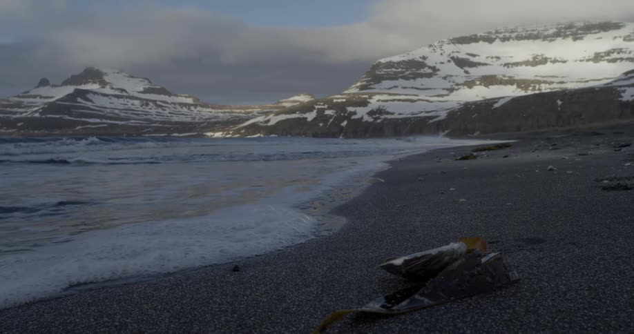 Waves are lapping a beach near snow-covered cliffs during the day