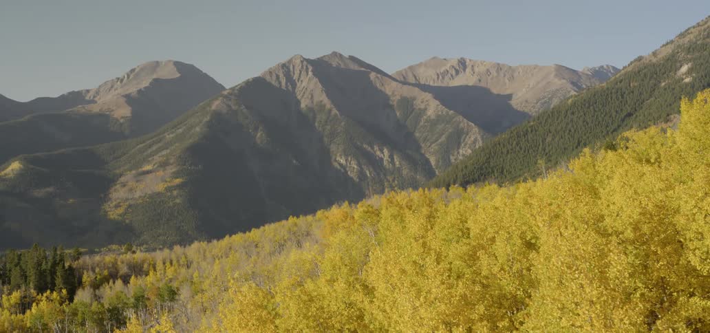 A yellow field leading to a mountain