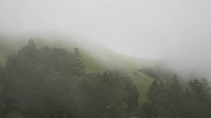 Flying over a foggy wooded area
