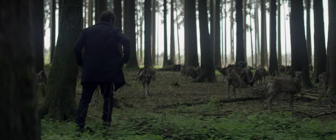 A man is walking carefully toward a forest clearing with deer during the day