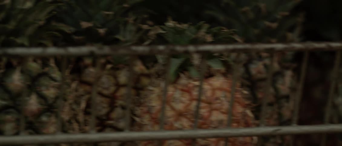Pineapples are sitting in a basket outside