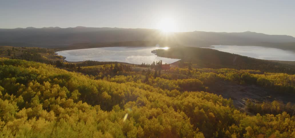 A moving view of some trees and water landscaping in the country