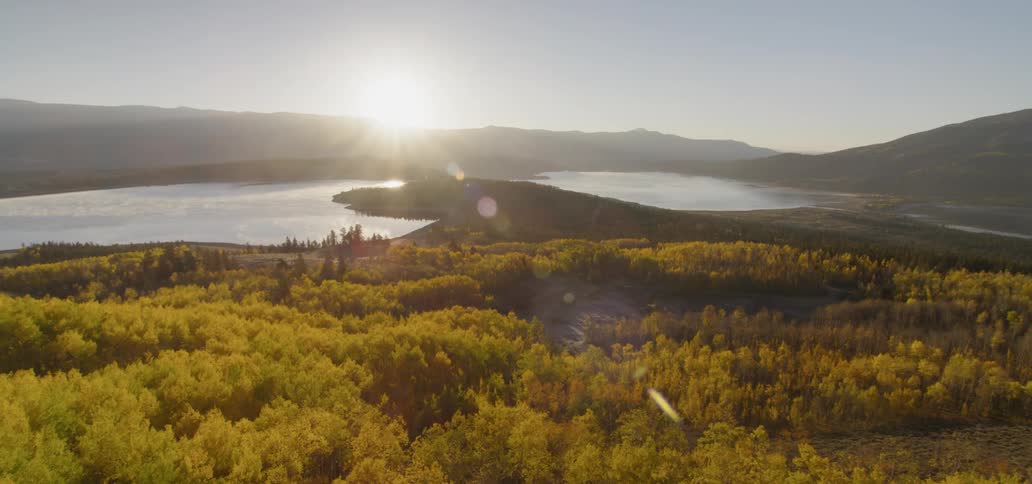 The trees are yellow and green before the lake