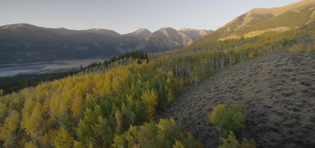 Trees cover a hillside with a mountain range in the distance