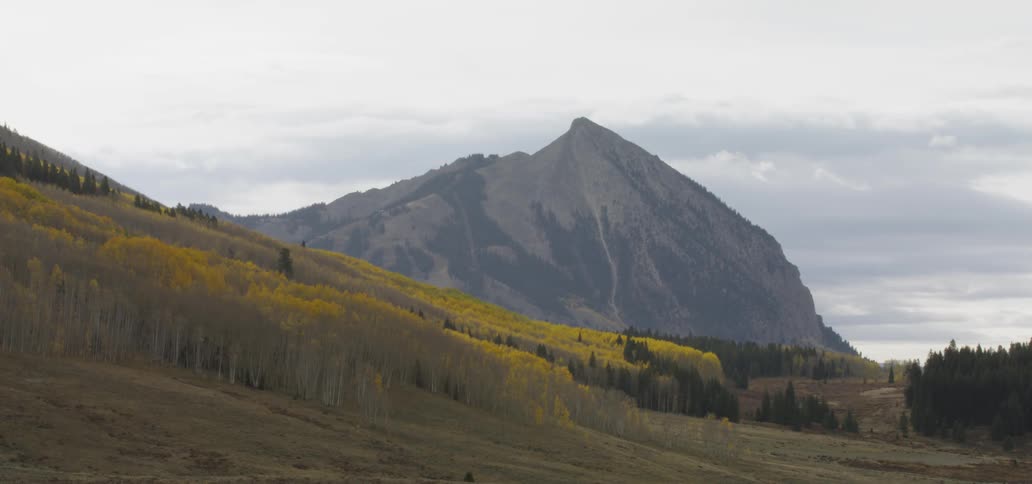 Yellow trees on a hillside with a large mountain in the background