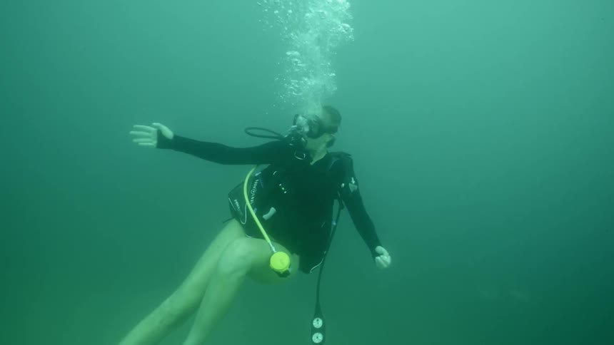 A diver swims in the ocean