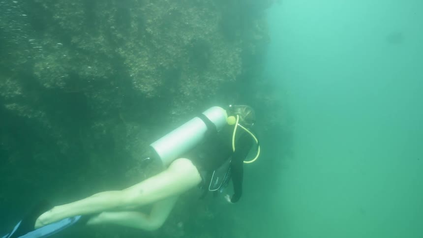 A woman is scuba diving near a large rock and some fish