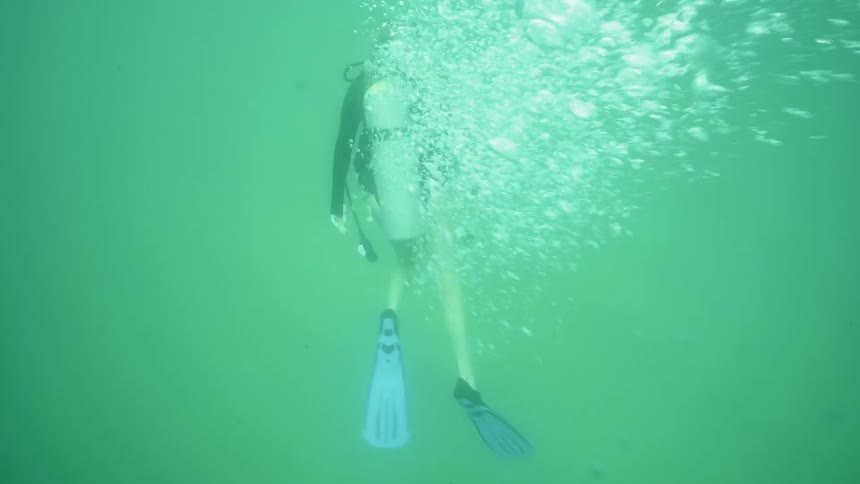 A diver swims in the ocean