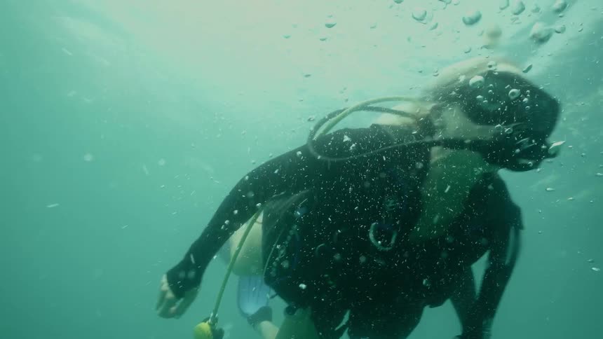A diver swims in the ocean
