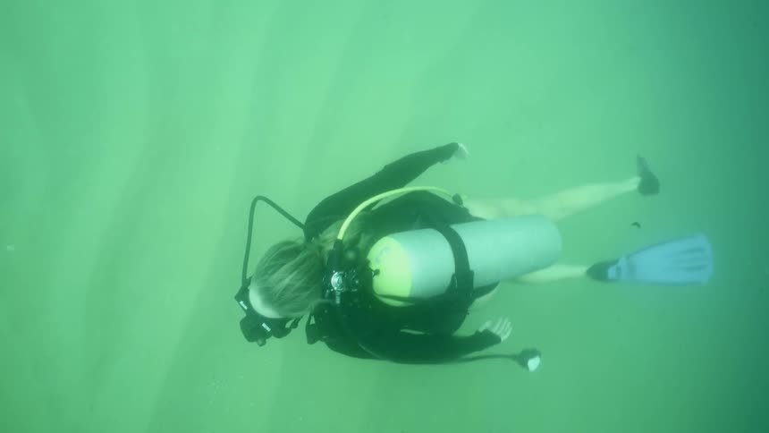 A diver swims in the ocean