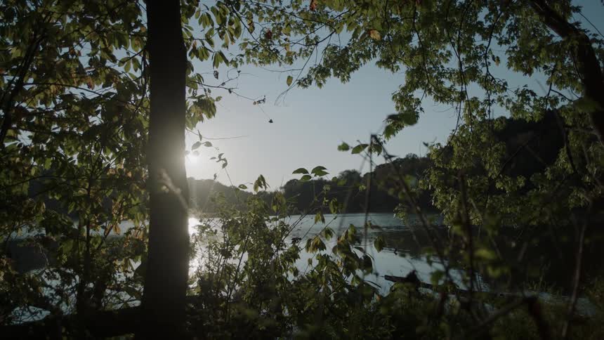 The sun shines over a lake