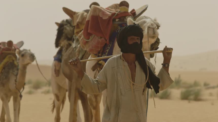 Man leading camels through the desert