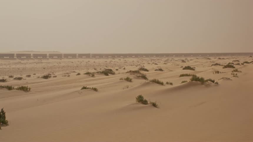 The long train is moving across the desert
