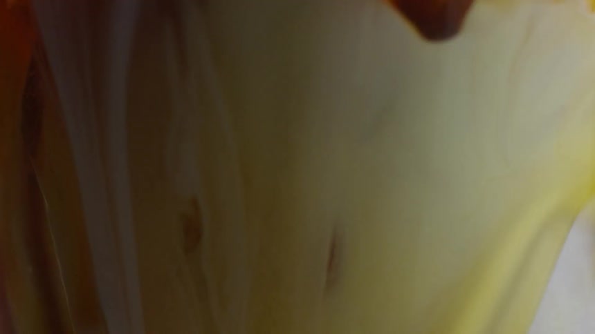 Cream is pouring into a liquid and spilling over the edges of the container