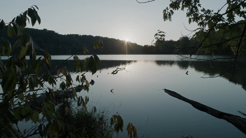 The sun shines on a stagnant pond