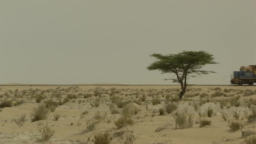 A freight train travels in the Sahara desert