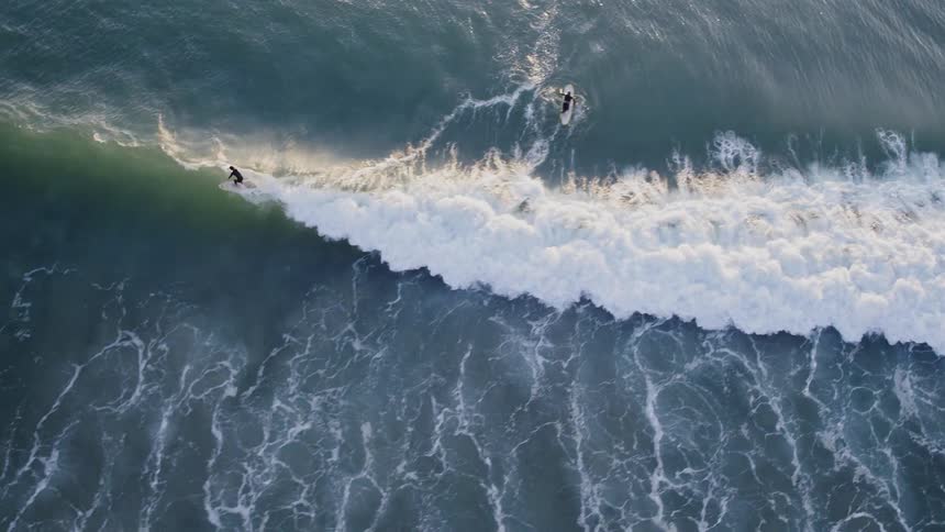 A surfer rides a wave before falling off