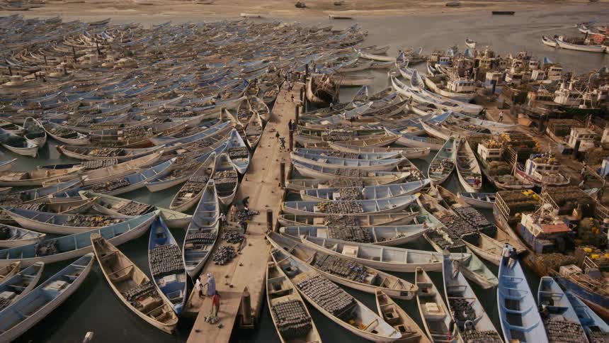 Hundreds of boats at a dock