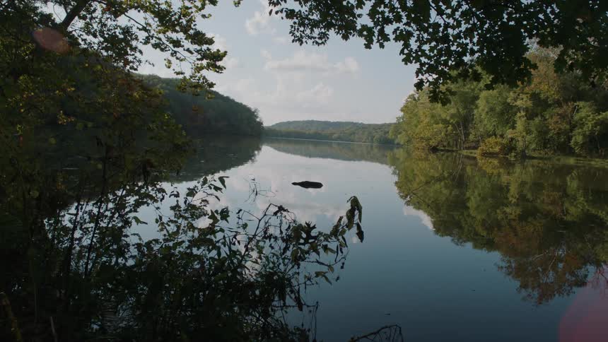 A view of a lake surrounded by trees and it is calm