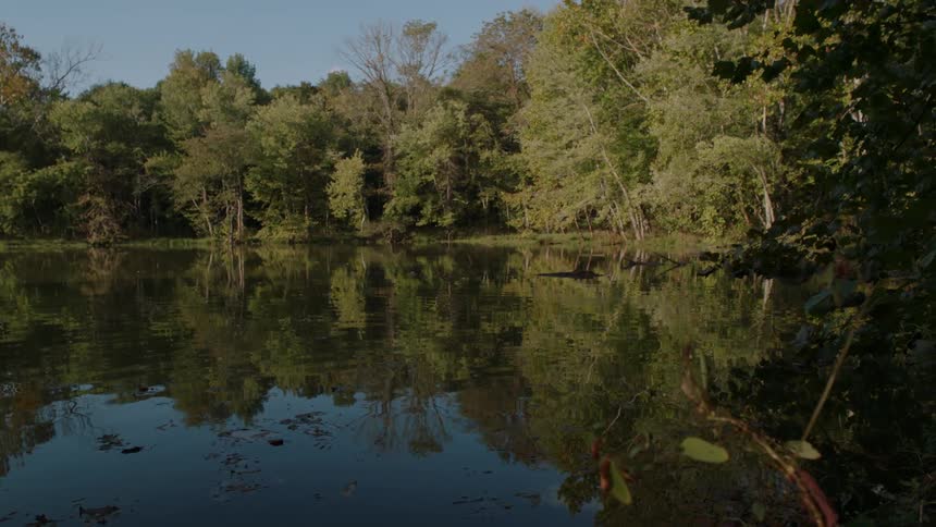A lake surrounded by trees is very calm