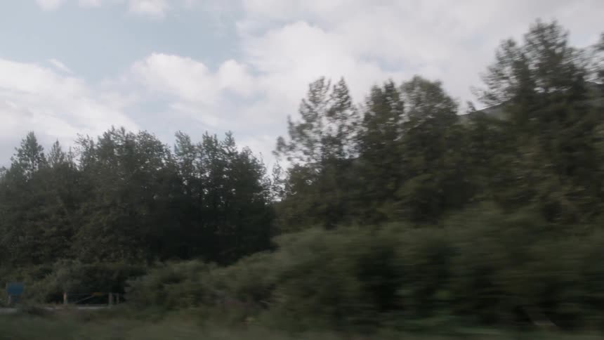The forest leads to a mountain behind