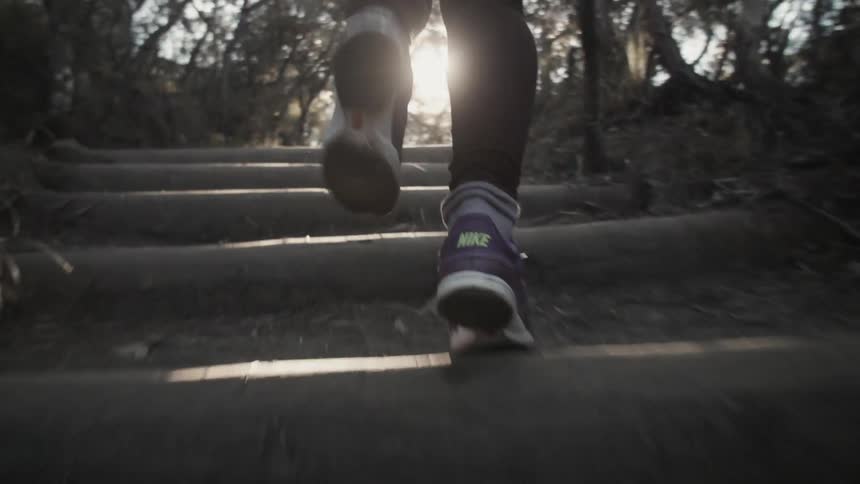 Person climbing stairs in a park area near sunset