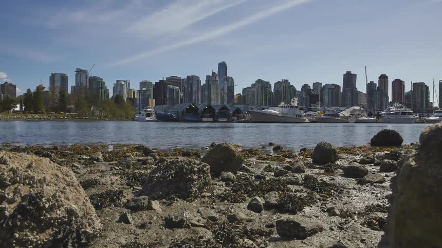 A city skyline across a lake