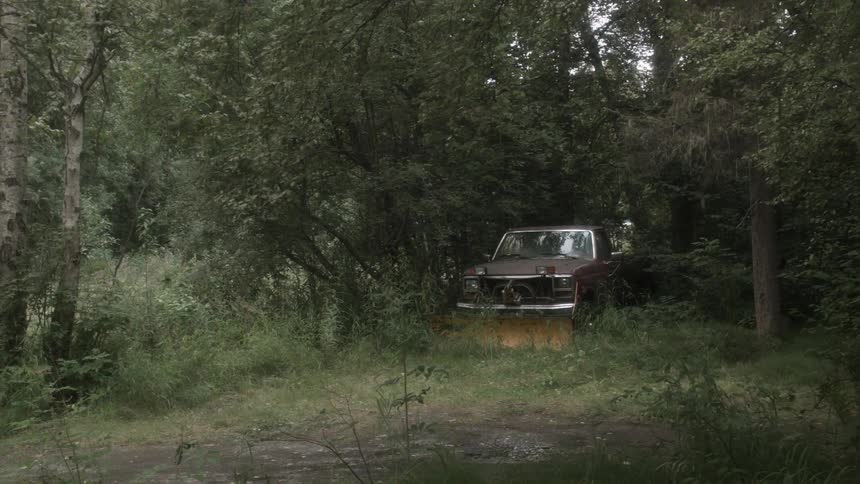A pickup with a plow attached is parked in an overgrown area behind trees