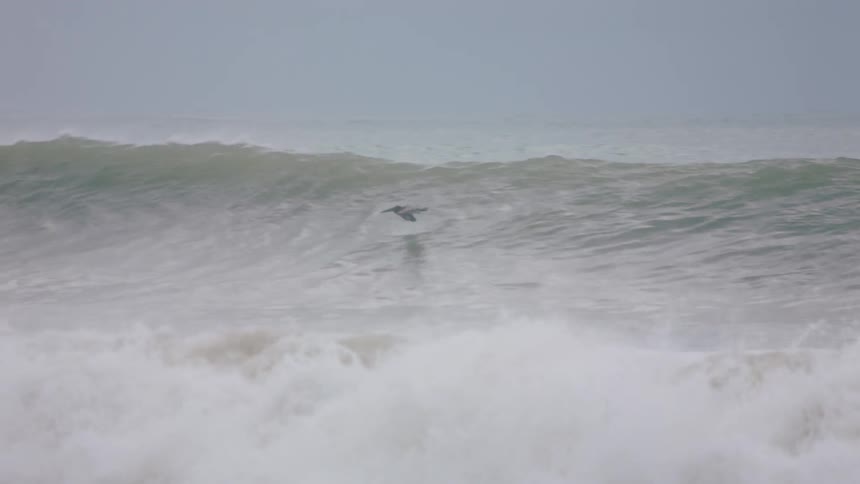 A bird is flying on top of rough seas and huge waves