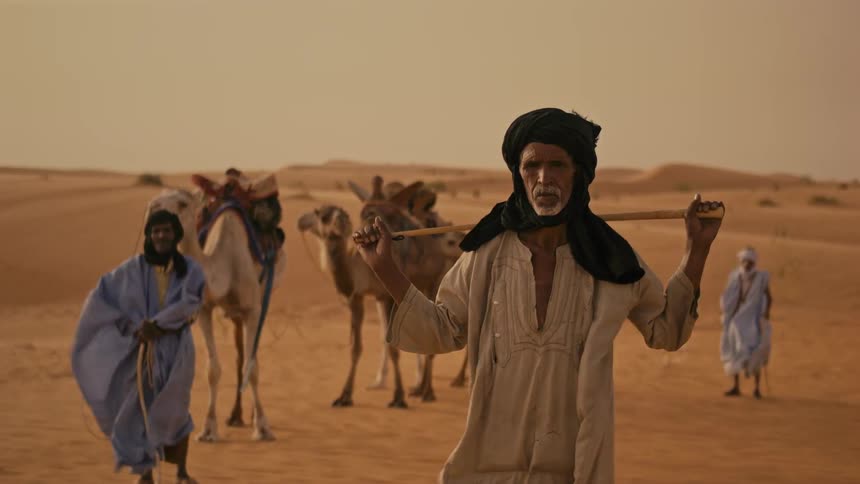 Men stand with camels in a windy desert