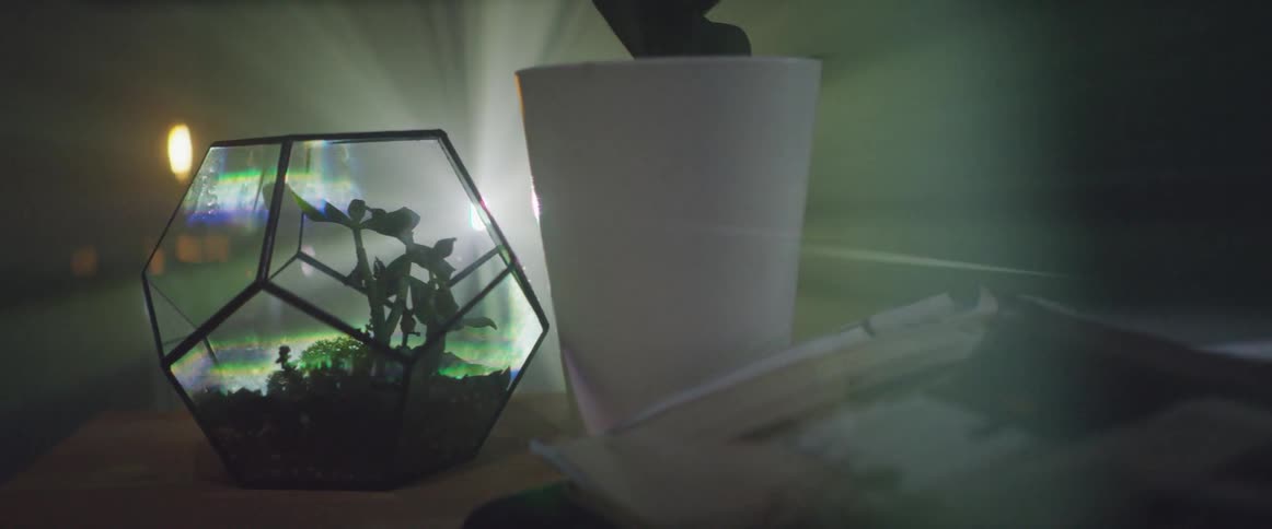 A light shines behind potted plants