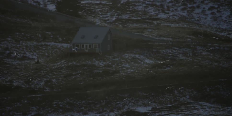 A flock of birds fly around a lone house on a hillside
