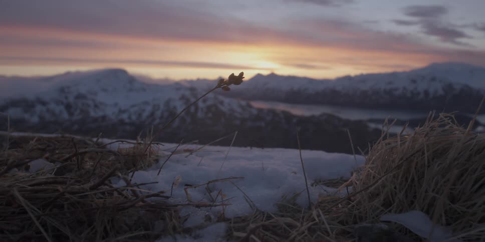A snow covered field near jagged mountains at sunset