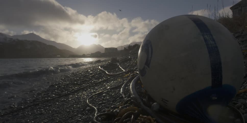A buoy sits on the coastal shore