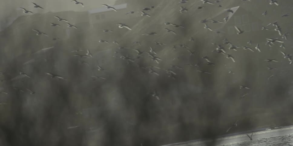 A flock of birds fly over water and some land