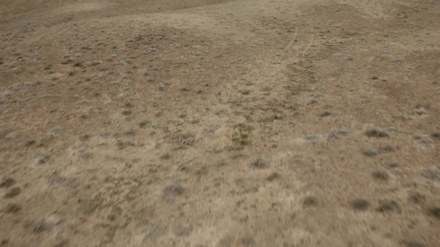 A desert littered with small clumps of grass