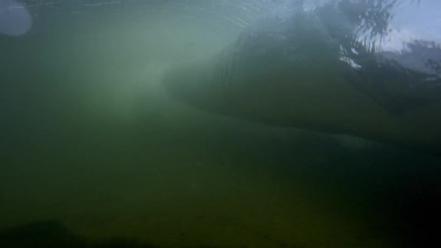 An underwater wave rolls